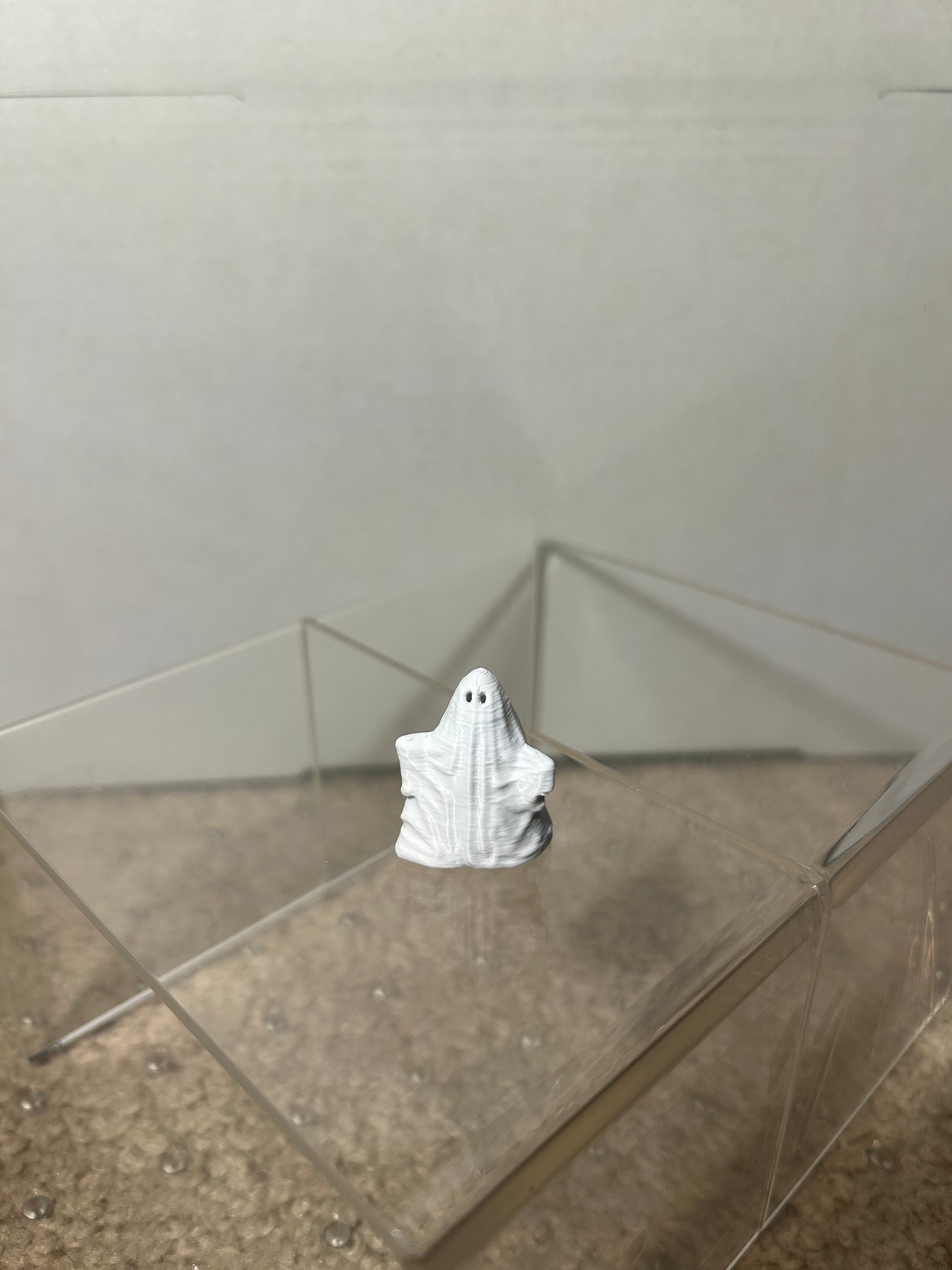 Mini Ghost 3D Print