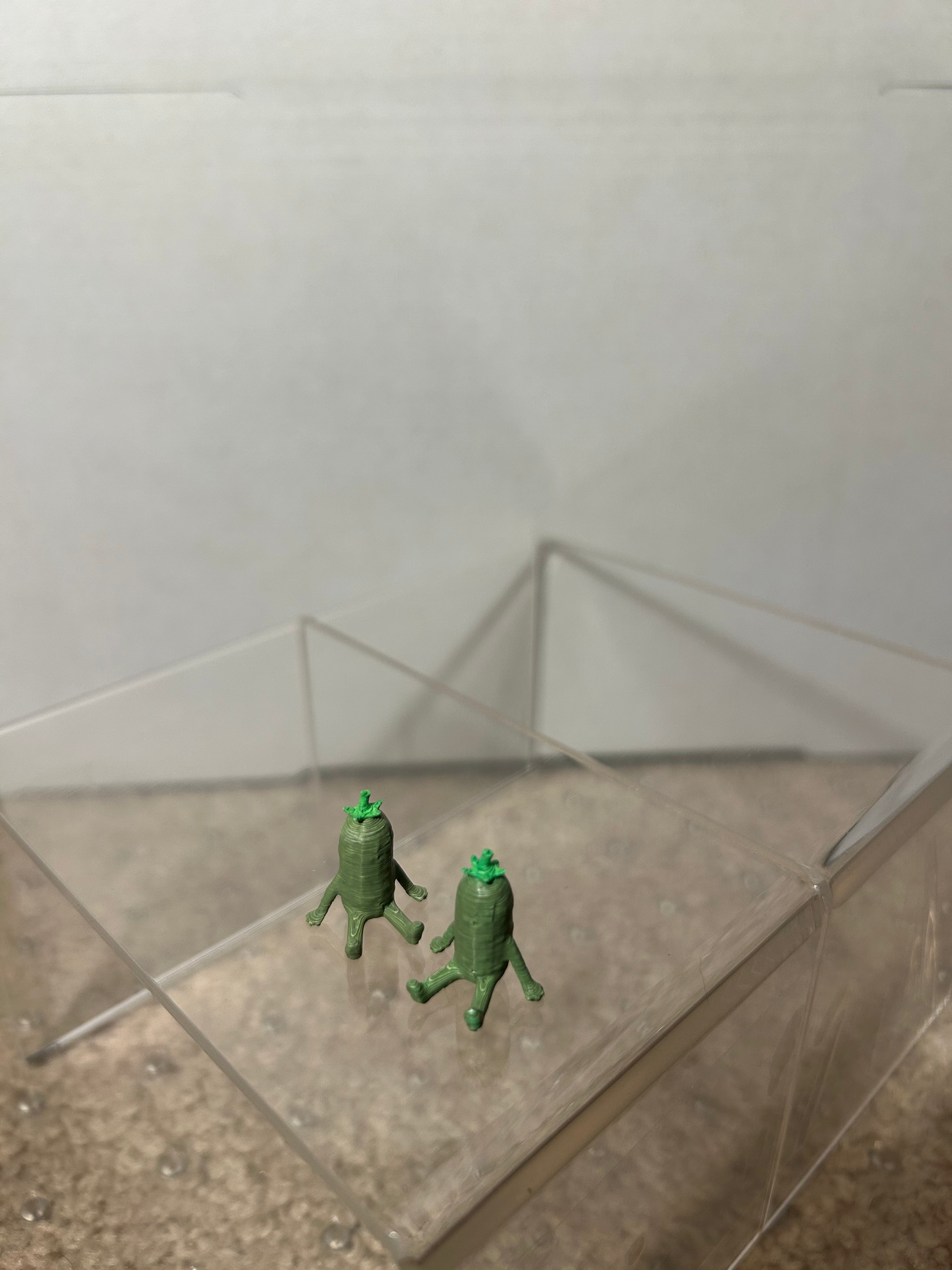 Pickle Buddies (2)