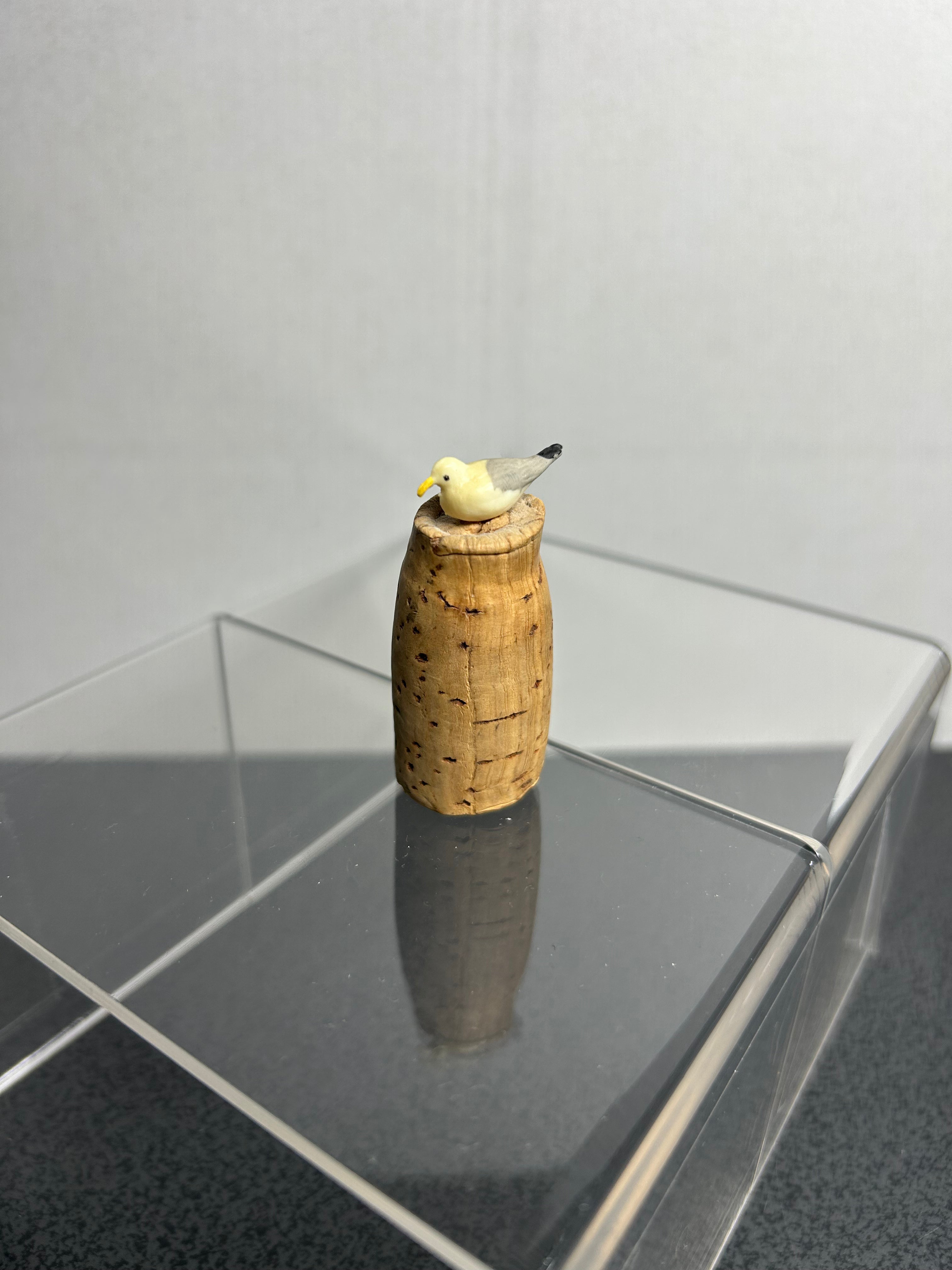 Seagull on Cork